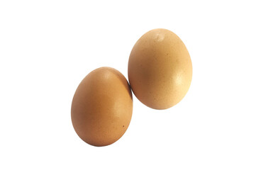 close up shining egg isolated on white background