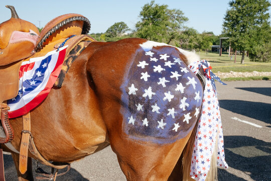 American Flag Painted On Horse