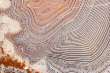 Banding Hebei Agate Closeup 