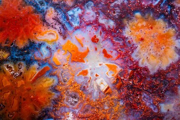 Colorful floral pattern coral jade