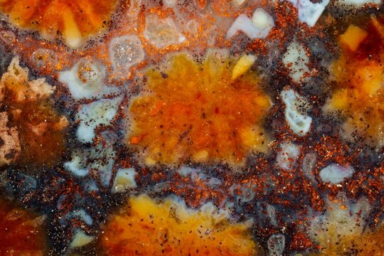 Colorful floral pattern coral jade