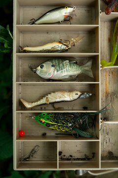 Colorful Fishing Lures