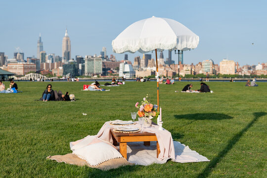 summer picnic in the central park. romantic date in manhattan. picnic in new york. summer outdoor romance. romantic picnic in summer. luxury picnic dinner