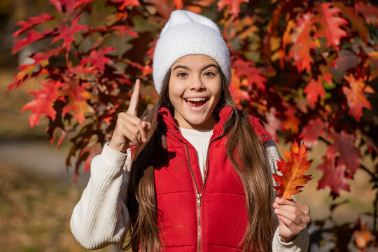 inspired with idea. teenage girl at autumn oak leaves. teenage girl wear autumn season clothes. Autumn paints nature in warm hues. school girl in september. happy teen girl in autumn outdoor