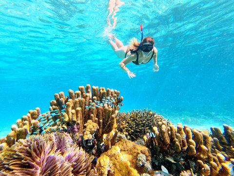 Travel and snorkel Indonesia