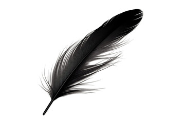 Isolated Beautiful Black Feather on White Background, Generative Ai