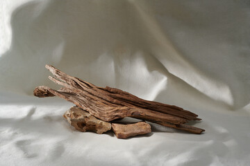 Abstract minimalistic scene from the bark of a dry branch tree