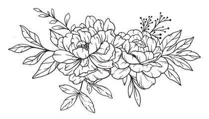 Fototapeta premium Peony Line Art, Fine Line Peony Bouquets Hand Drawn Illustration. Coloring Page with Peony Flowers. 