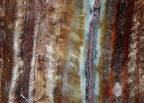 Petrified wood fossil jade texture