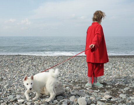 Girl in red playin with a dog 