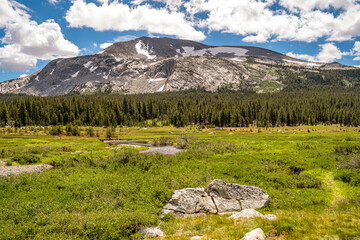 View of the Meadow and Snowy Mountain, Yosemite National Park