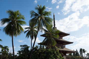 The beautiful pagoda set amidst palm trees at Lahaina's Jodo Buddhist temple on the island of Maui, Hawaii