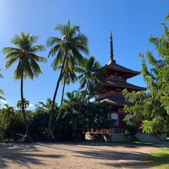 A view of palm trees and blue sky over the Lahaina Jodo Buddhist Mission, off Front Street in Maui Hawaii