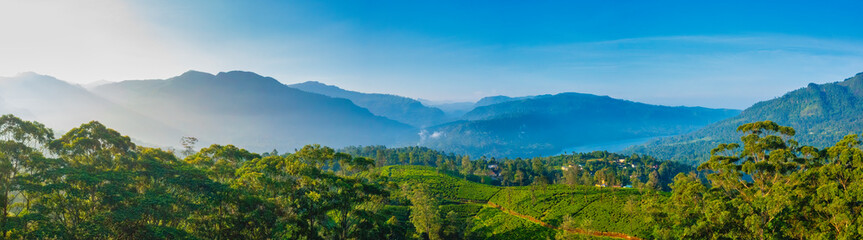 Fototapeta na wymiar Sri Lanka upland aerial scenic green valley with narrow road in the middle of sunlit tea plantations with mountain ranges in the distance.