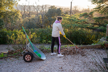Woman gardening, collecting autumn leaves with a rake in early winter, in Provence, a region of...