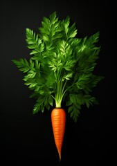 carrot isolated on black background