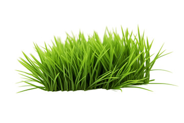 Professional Green Grass on transparent Background, Generative Ai