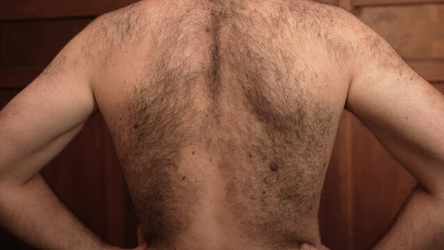 Close-up of a naked man's back covered with thick black hair. Excessive hairiness of men. 4K