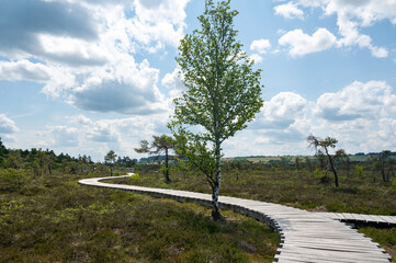 New Wooden path in a moor Landscape