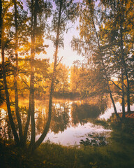 Dawn on a lake or river with a sky reflected in the water, birch trees on the shore and the sunbeams breaking through them and fog in autumn. Aesthetics of vintage film.