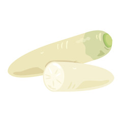 大根断面セット