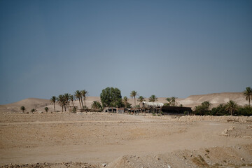 An oasis in the remote wilderness of the barren Negev Desert in southern Israel. Palm trees shelter some buildings made of rusted corrugated steel.