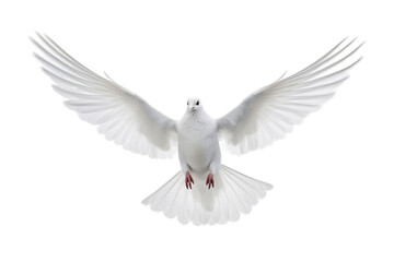 White Dove Flying Freely - Full Body on transparent Background, Generative Ai