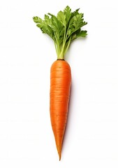 carrot isolated on white background