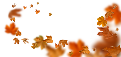 falling autumn leaves as a foreground, png