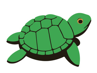 turtle