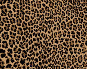 Vector leopard pattern seamless background and printing or home decorate and more.