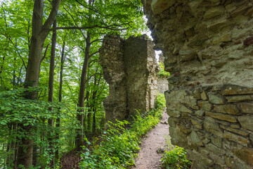 ruins of the Sobień castle in the Bieszczady Mountains
