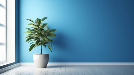 Empty room with a plant and blue wall mock up