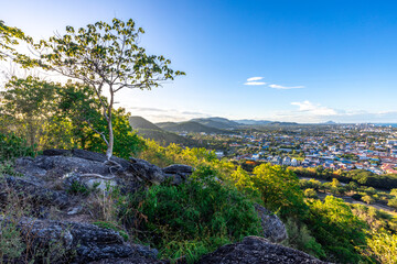 Obraz premium panoramic background of high mountain scenery, overlooking the atmosphere of the sea, trees and wind blowing in a cool blur, spontaneous beauty