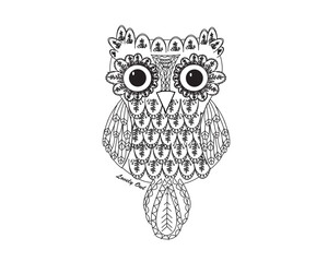 Vector hand drawn Owl sitting on branch. Black and white zentangle art. Ethnic patterned illustration for antistress coloring book, tattoo, poster, print, t-shirt