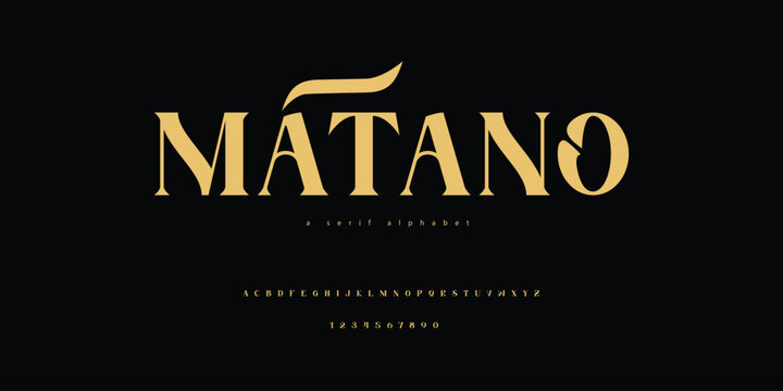 Decorative Classic Alphabet Font Typeface Elegant and Flowing Style
