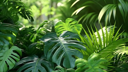 exotic tropical foliage background