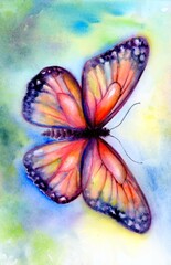 Butterfly in watercolor