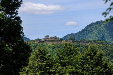 Fototapeta na wymiar 山の上に残る城跡の城壁
