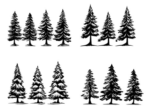 Vector xmas Pine tree silhouette mega set for events