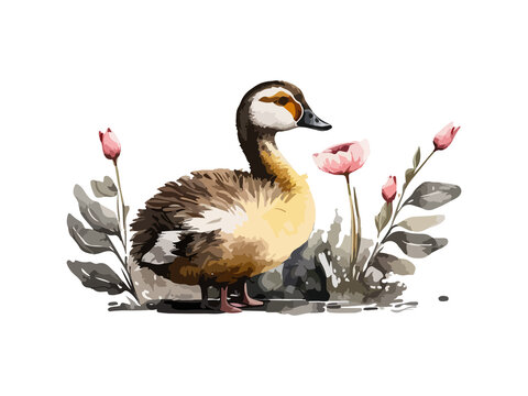 Cute watercolor duck decorated by flowers vector, isolated in white background
