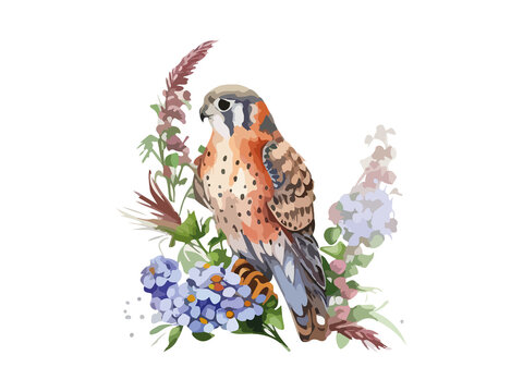 Watercolor falcon bird, vector ilustration decorated by flowers.
