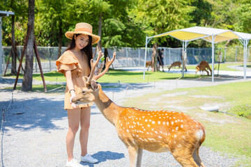 Woman feed deer in the tourist farm