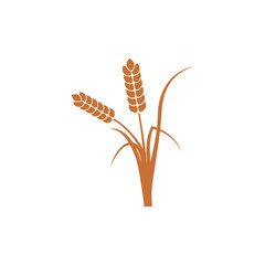 Wheat ears or rice icon isolated on transparent background