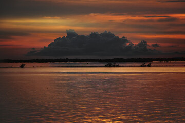 Basking in the glow of the golden sky