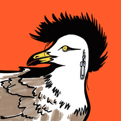Ink and colour illustration of a seagull depicted as a punk rocker