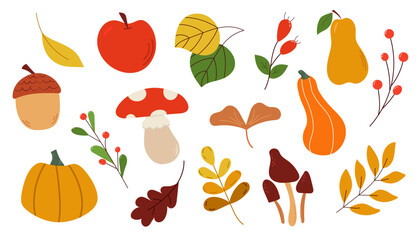 Set of autumn elements. Pumpkin, mushrooms, autumn leaves, rose hip, acorn, apple, pear hand drawn © Katya