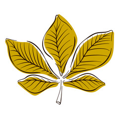 Chestnut autumn leaf icon in line art flat style. Vector illustration isolated on a white background.