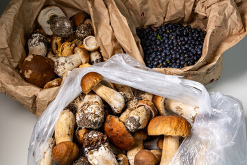 A bag of freshly picked Karl-Johan mushrroms and blueberries from the forest on a table.
