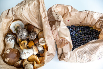 A bag of freshly picked Karl-Johan mushrroms and blueberries from the forest on a table.